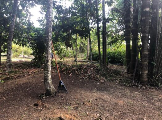 TERRENO ESTRADA VENDE-SE, Silves-AM