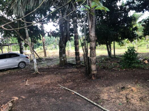 TERRENO ESTRADA VENDE-SE, Silves-AM