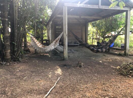 TERRENO ESTRADA VENDE-SE, Silves-AM