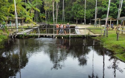 Balneário e Chácara a venda no Janauari com 3.5ha, Iranduba AM