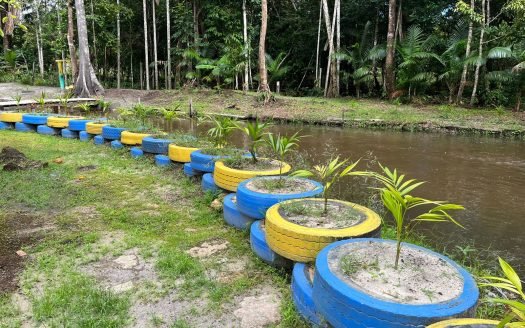 Balneário e Chácara a venda no Janauari com 3.5ha, Iranduba AM