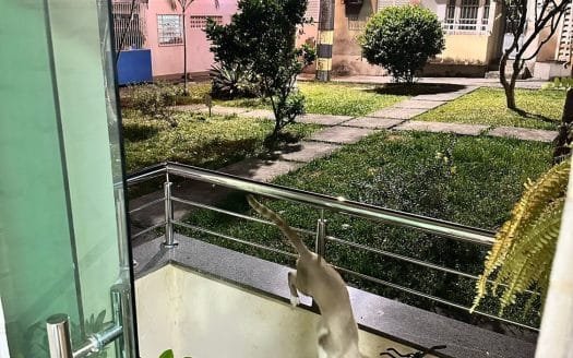 Condomínio Guaianás 2, Apartamento com 2 quartos a Venda em Flores Manaus AM.