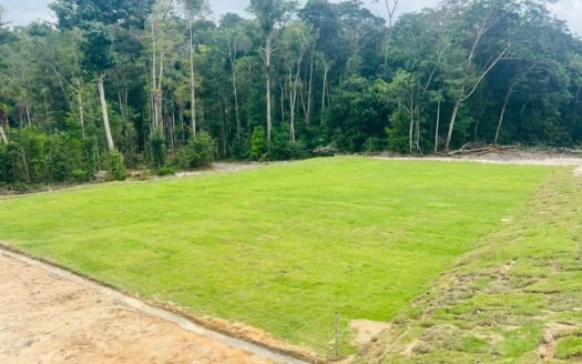 Chacaras Caminho das Águas, Lotes a venda na AM 010