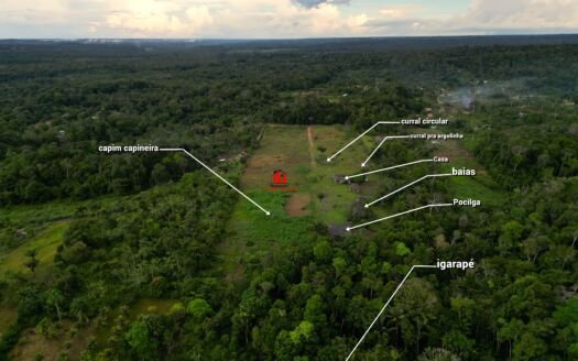 Sítio no Rio Preto da Eva à 5 minutos da cidade, Terreno com 54.720m², Sitio com vacas leiteiras, a venda no Municipio Rio Pretp da Eva, AM