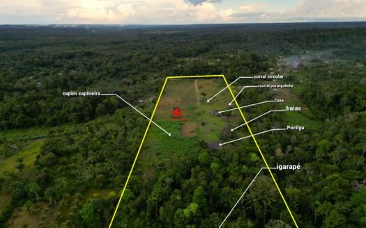 Sítio no Rio Preto da Eva à 5 minutos da cidade, Terreno com 54.720m², Sitio com vacas leiteiras, a venda no Municipio Rio Pretp da Eva, AM