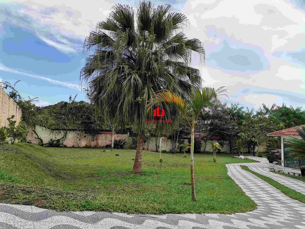 imagem